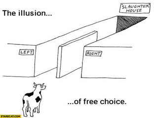 the-illusion-of-free-choice-left-right-slaughter-house.jpg