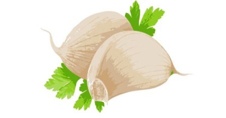 garlic (2)-min.jpg